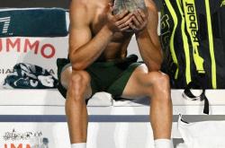 爱游戏在线-戴维斯杯横扫ATP总决赛，阿尔卡拉斯带队取胜的简单介绍