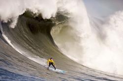 AYX官方直播-从迷失到领袖，莫兰特完成自我救赎，吉林队关键战突围勇士