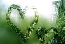 AYX官方直播-篮球职业联赛球队大手笔引援，备战新赛季