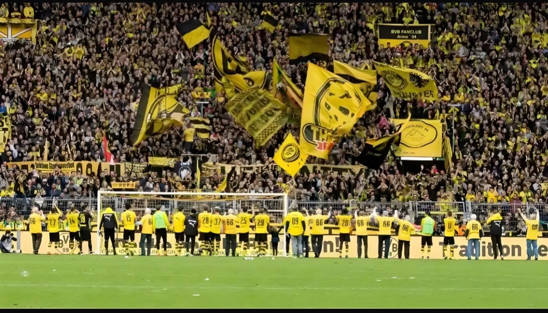 关于里尔:球员状态回弹,球队前景大好的信息 关于里尔:球员状态回弹,球队前景大好的信息