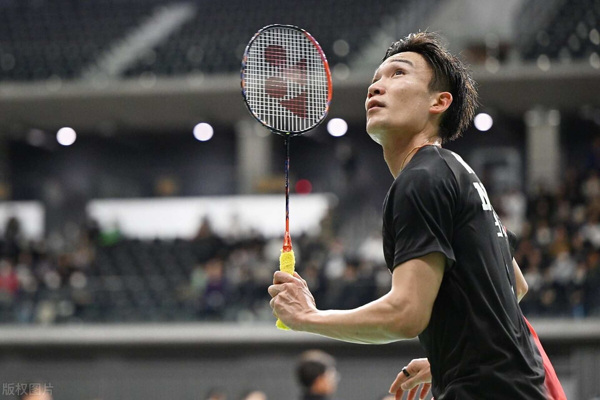 德国队碾压印尼队,桃田贤斗状态火热的简单介绍 德国队碾压印尼队,桃田贤斗状态火热的简单介绍