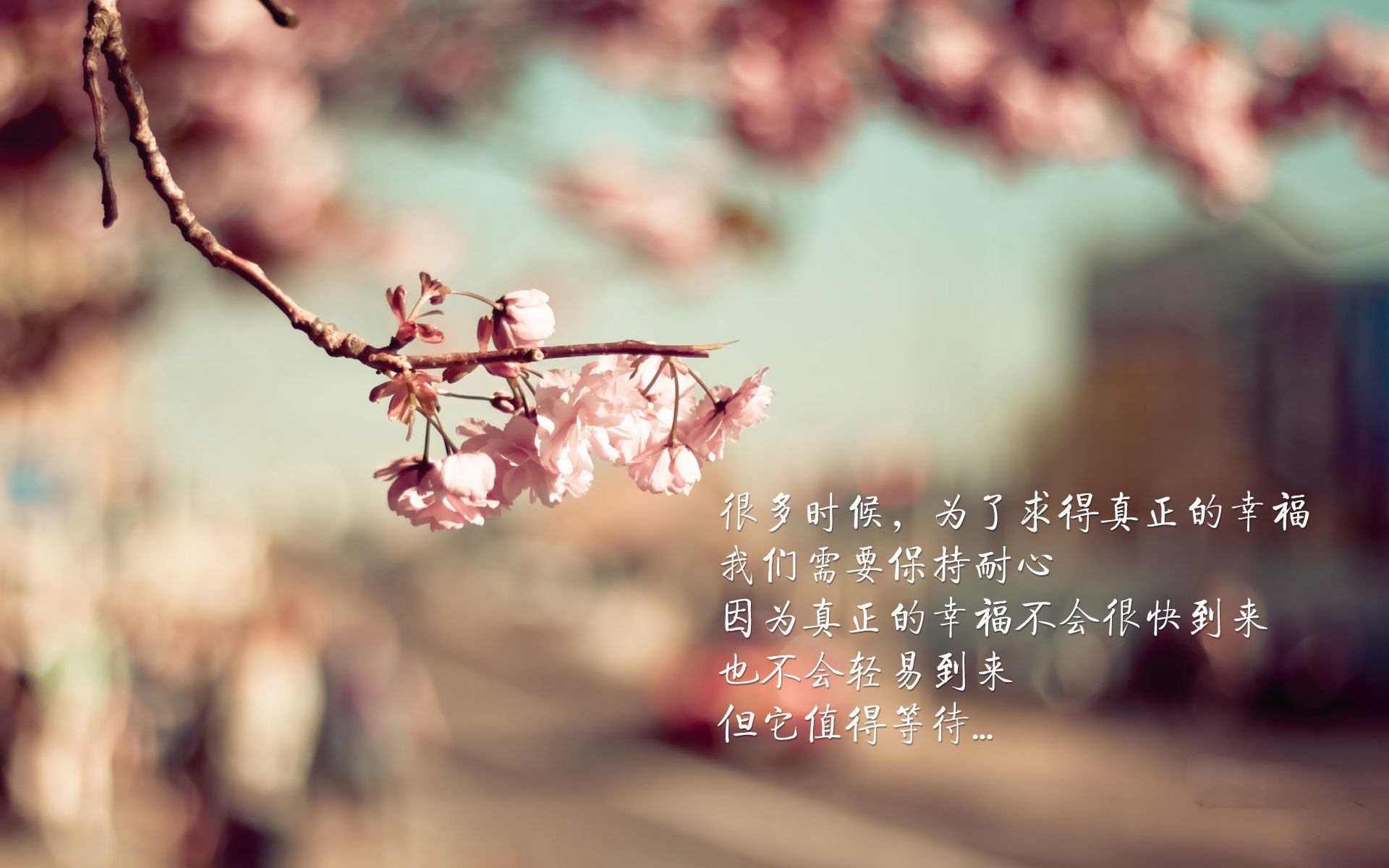 欧冠淘汰赛焦点战，骑士强势晋级，黄蜂虽败犹荣