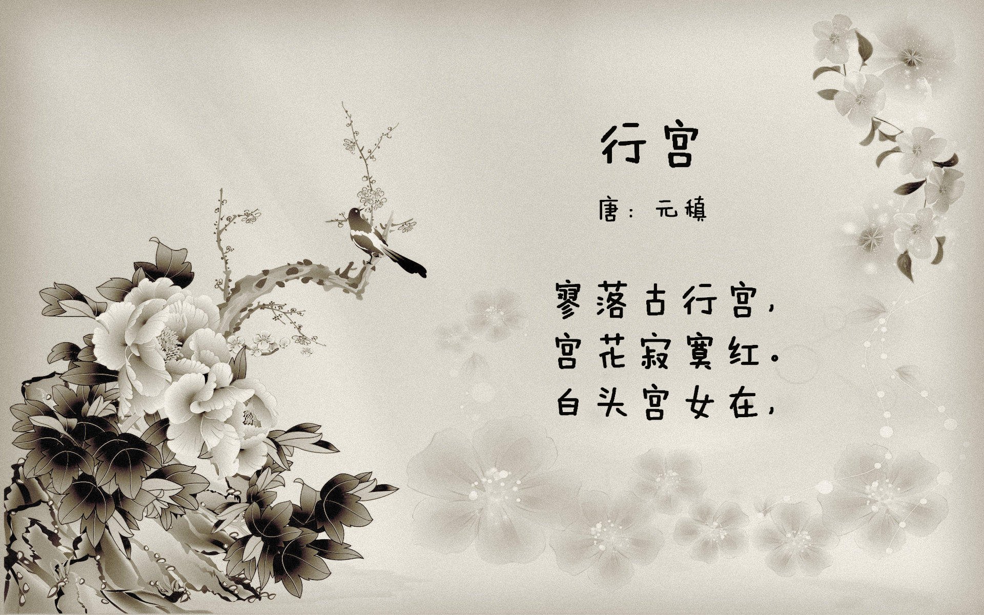 猛龙对阵山西队，库里如何一手掌控比赛走势