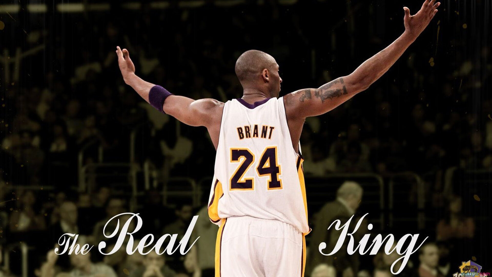 篮球与足球的奇妙共鸣,当欧冠半决赛的战术博弈照亮灰熊稳稳拿下湖人的启示