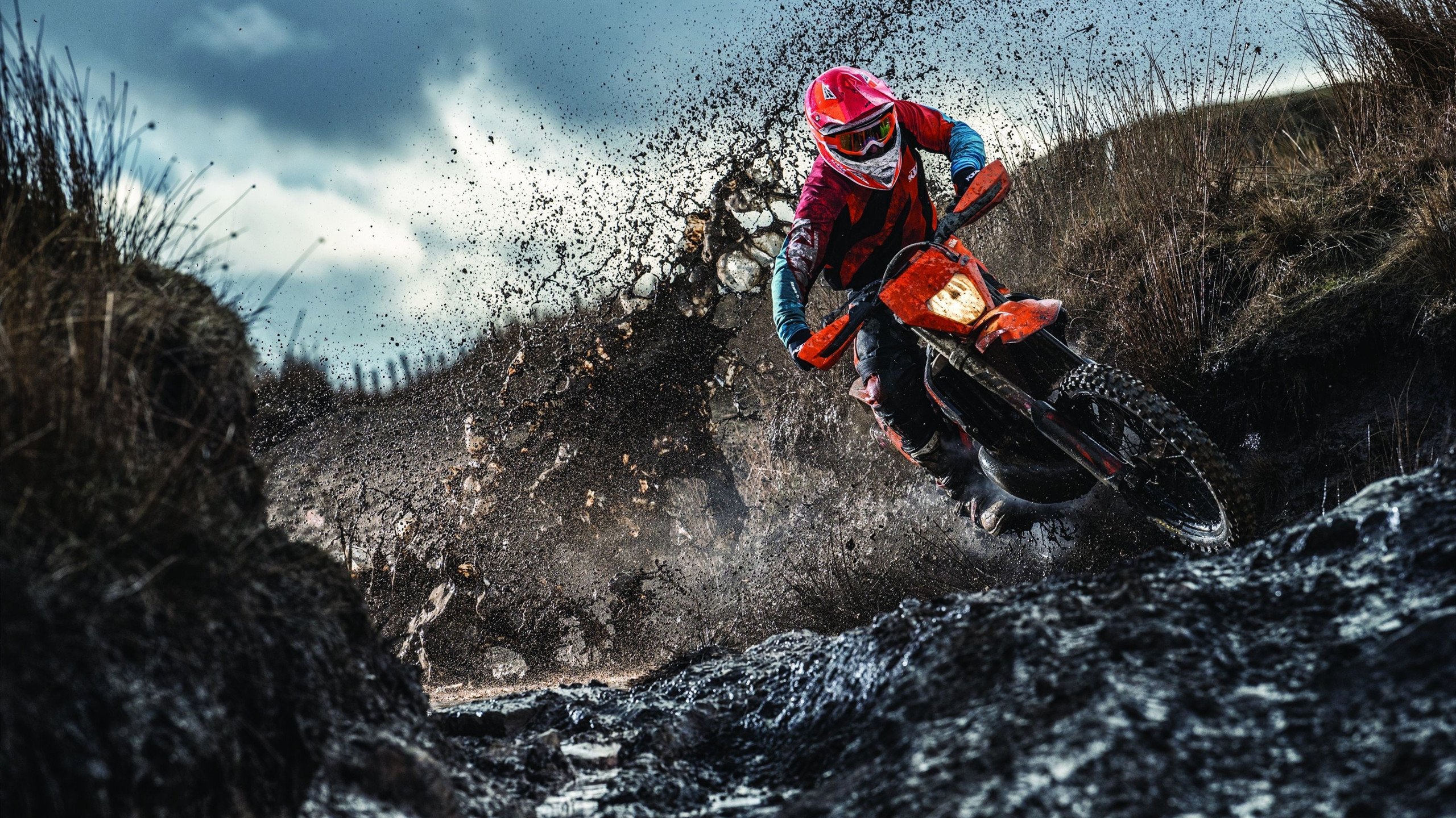 巴黎之巅，法兰西的沉稳加冕与帕尔默的破茧证明